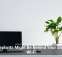 Houseplants Might Be Behind Your Sluggish Wi-Fi