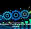 Automation: The Shortcut to Scalable Growth
